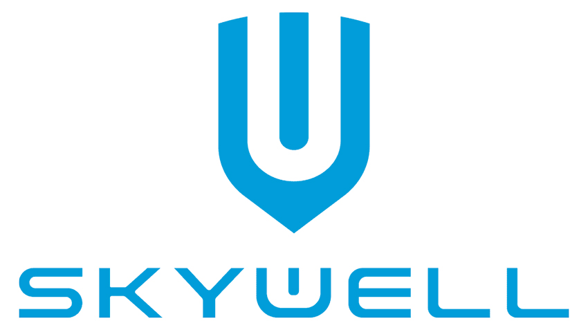 В России стартует новый бренд электромобилей Skywell