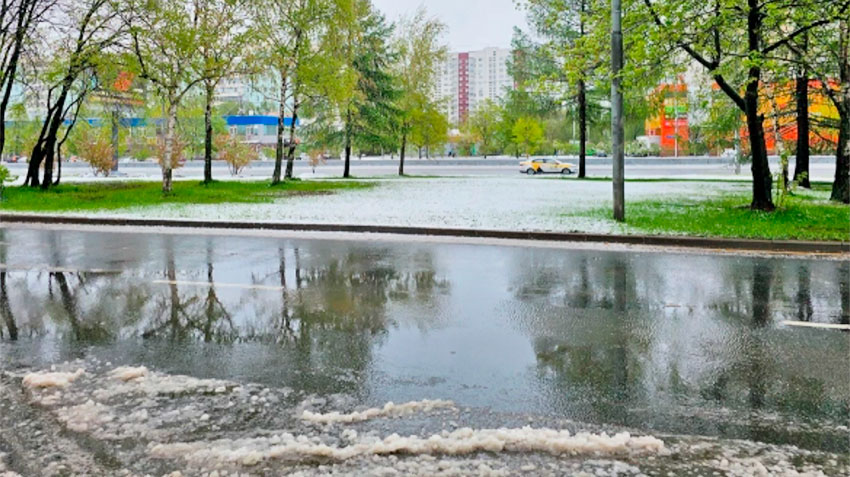 Московским и подмосковным водителям рекомендовали поменять на 12 мая резину на зимнюю из-за заморозков